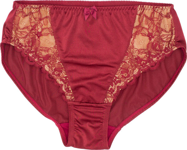 414 Princess Lace Panty - Image 2
